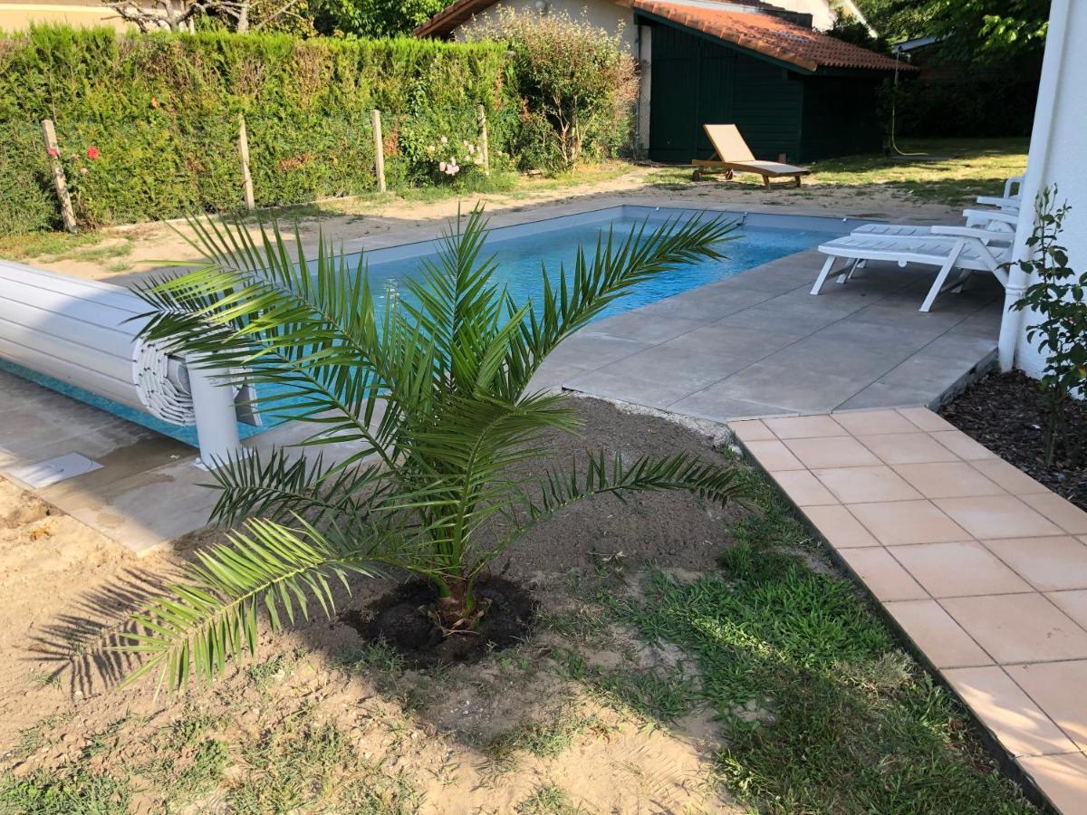 Maison Landaise Moderne Piscine Chauffee Spa Lit-et-Mixe Luaran gambar
